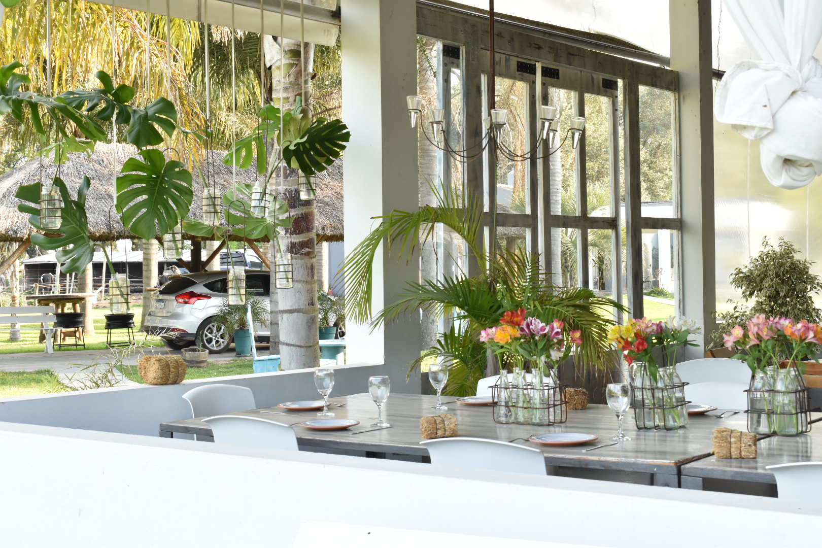 Salón interior Haras 202 con luz natural y plantas tropicales